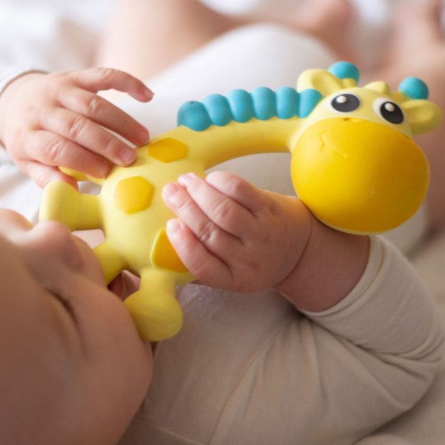 0186970-Squeak-and-Soothe-Natural-Teether